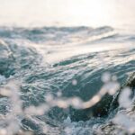 Typer av catering i Stockholm